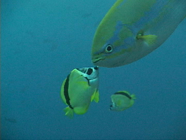 DSC00085.JPG